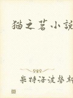 猫之茗小说