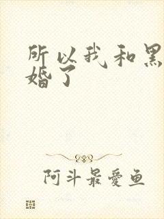所以我和黑粉结婚了