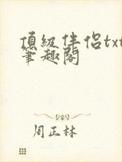 顶级伴侣txt笔趣阁