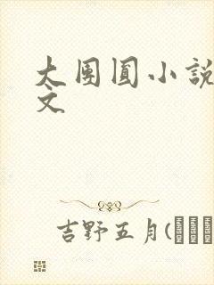 大团圆小说集全文