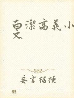 白洁高义小说全文