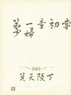 第一章初尝极品少妇