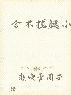 合不拢腿小说