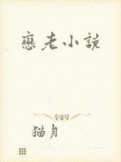 恋老小说