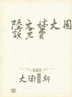 陆文婷大团圆小说免费