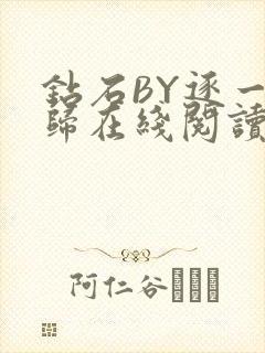 钻石BY逐一而归在线阅读