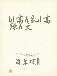 bl高h乱l高辣h文