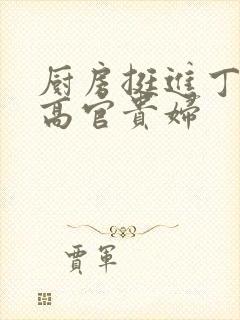 厨房挺进丁字裤高官贵妇