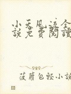 小天风流全集小说免费阅读