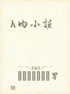 h肉小说