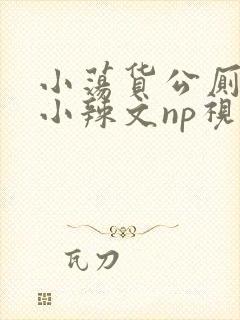 小荡货公厕h文小辣文np视频