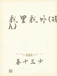 戏里戏外(现场h)