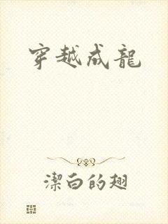 穿越成龙