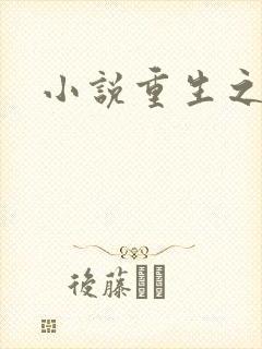 小说重生之官道