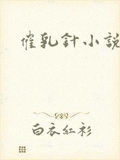 催乳针小说