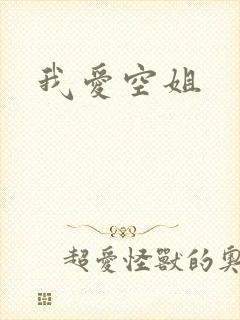 我爱空姐