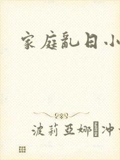 家庭乱日小说