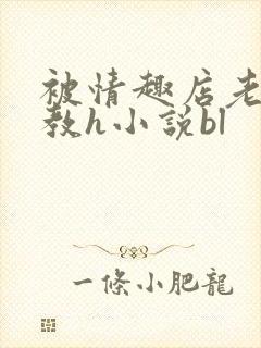 被情趣店老板调教h小说bl