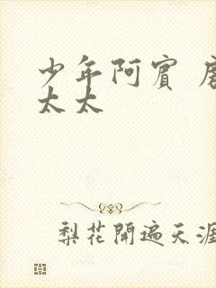 少年阿宾 房东太太