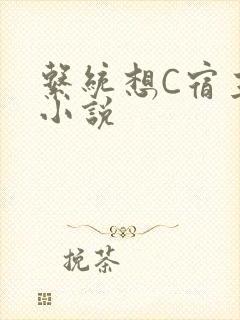 系统想C宿主的小说