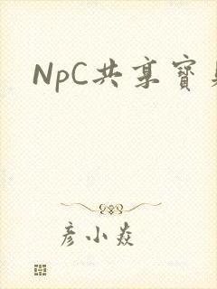 NpC共享宝贝