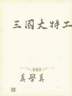 三国大特工