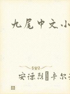 九尾中文小说网