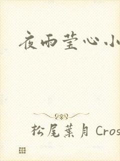 夜雨莹心小说