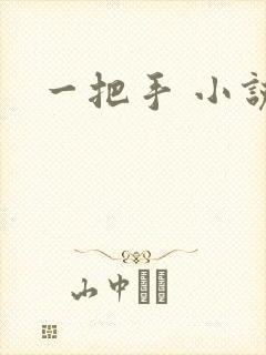 一把手 小说
