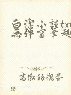 白洁小说txt无弹窗笔趣阁