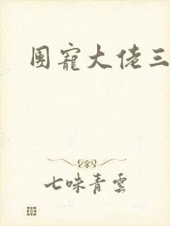 团宠大佬三岁半