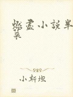 燃尽小说半截白菜