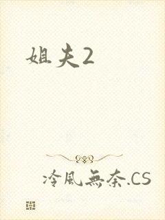 姐夫2