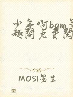 少年啊bgm笔趣阁免费阅读全文下载