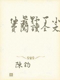 他最野了小说免费阅读全文