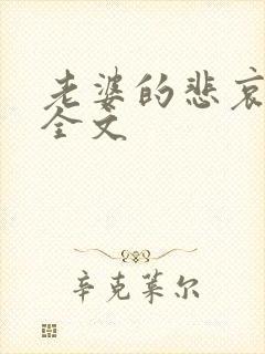 老婆的悲哀小说全文