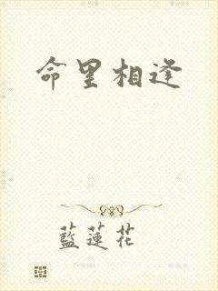 命里相逢