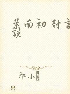 叶南初 封言小说