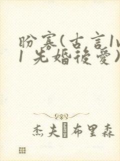 盼寡(古言1v1 先婚后爱)