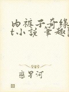 内裤子奇缘txt小说 笔趣阁