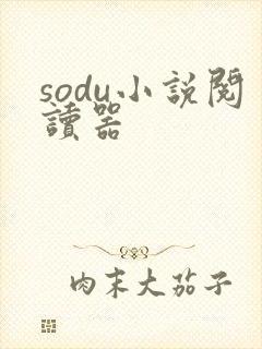 sodu小说阅读器