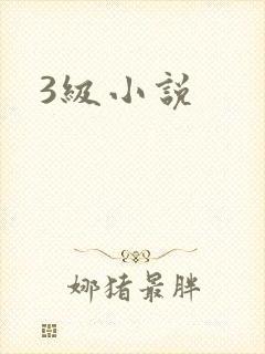 3级小说