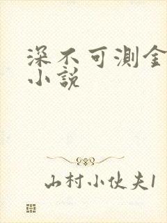 深不可测金银花小说