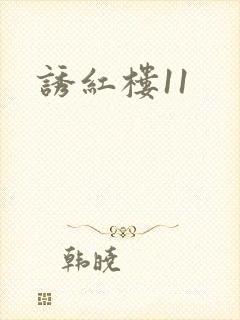 诱红楼11