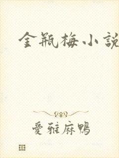 金瓶梅小说下载