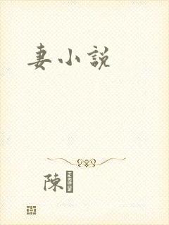 妻小说