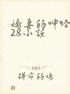 娇妻的呻吟1—28小说