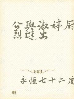 公与淑婷厨房猛烈进出