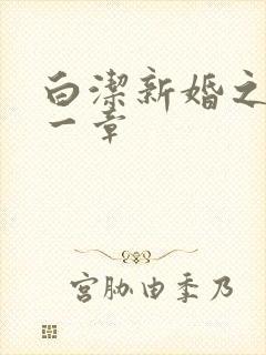 白洁新婚之夜第一章