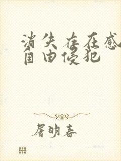 消失存在感消失自由侵犯